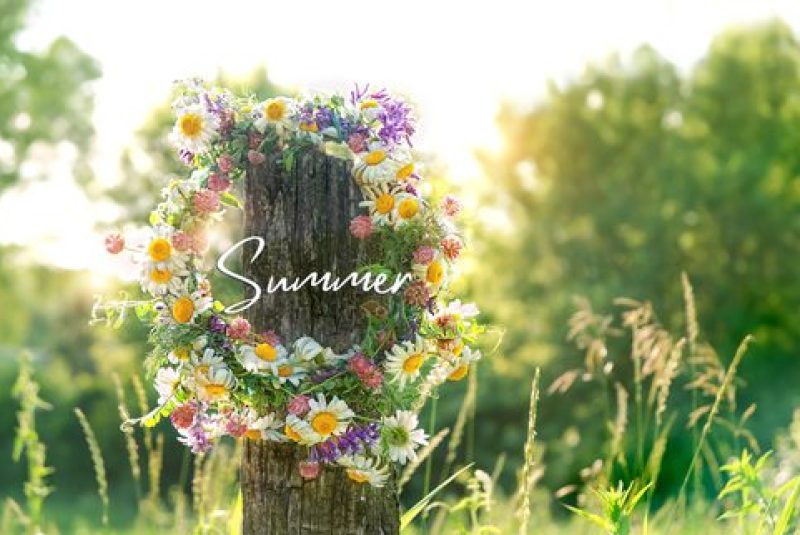 Summer,Season,Concept.,Flowers,Wreath,On,Wooden,Post,,Sunny,Green